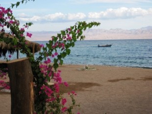 Sinai: Camp am Meer mit Bougainvillea